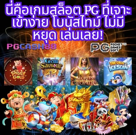 จ่ายไวพลัส